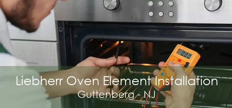 Liebherr Oven Element Installation Guttenberg - NJ