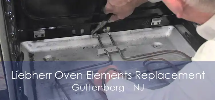 Liebherr Oven Elements Replacement Guttenberg - NJ