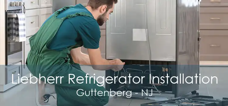 Liebherr Refrigerator Installation Guttenberg - NJ