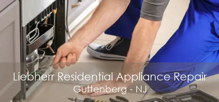 Liebherr Residential Appliance Repair Guttenberg - NJ