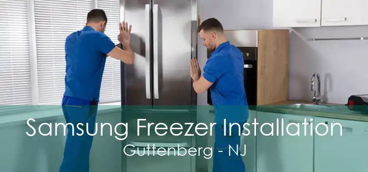 Samsung Freezer Installation Guttenberg - NJ