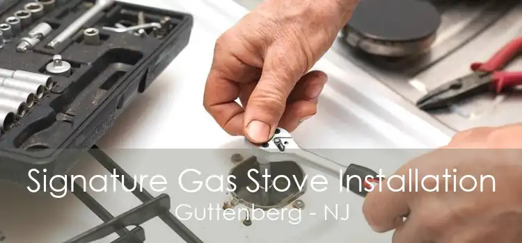 Signature Gas Stove Installation Guttenberg - NJ