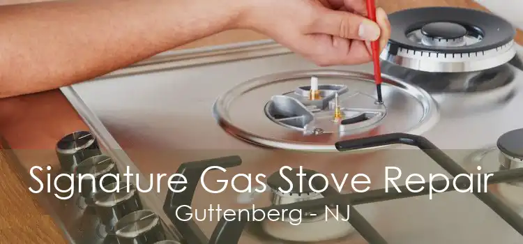 Signature Gas Stove Repair Guttenberg - NJ