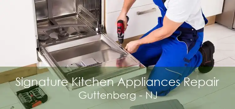 Signature Kitchen Appliances Repair Guttenberg - NJ