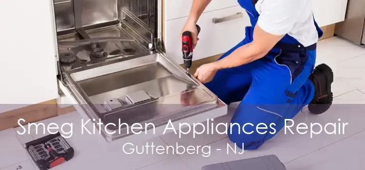 Smeg Kitchen Appliances Repair Guttenberg - NJ