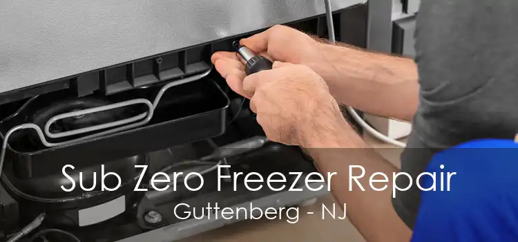 Sub Zero Freezer Repair Guttenberg - NJ