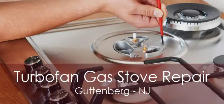 Turbofan Gas Stove Repair Guttenberg - NJ