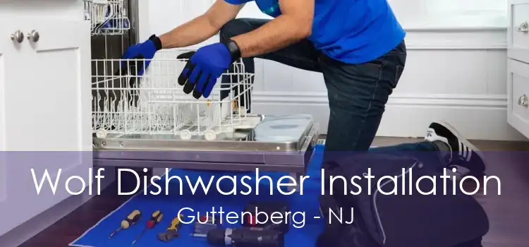 Wolf Dishwasher Installation Guttenberg - NJ