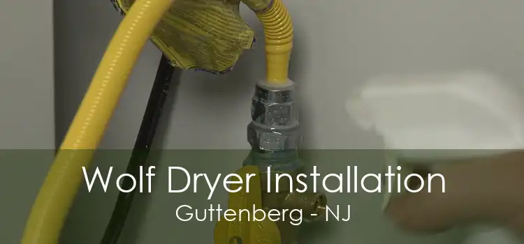 Wolf Dryer Installation Guttenberg - NJ