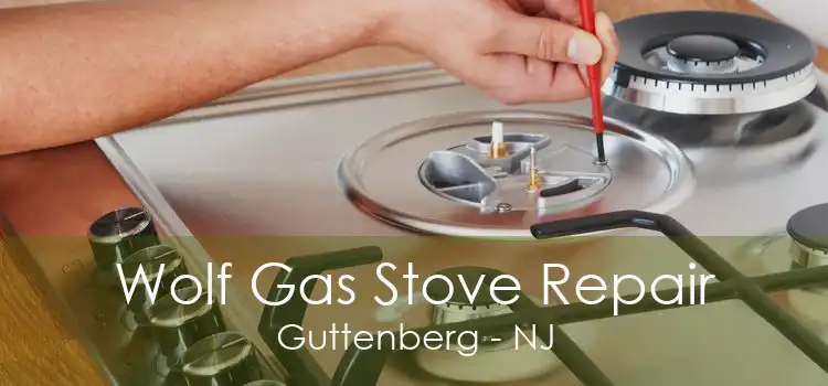 Wolf Gas Stove Repair Guttenberg - NJ