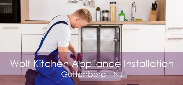 Wolf Kitchen Appliance Installation Guttenberg - NJ