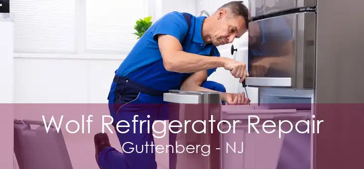 Wolf Refrigerator Repair Guttenberg - NJ